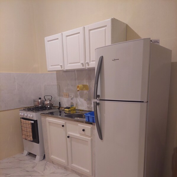 Frigorífic, forn, placa de cuina i bullidora elèctrica 