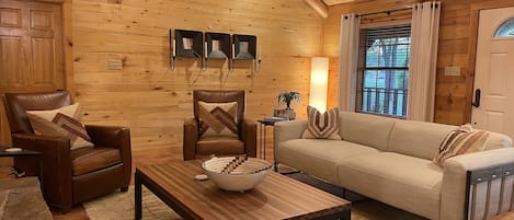 Smart TV, fireplace, video games, books