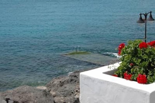 A seaside view with a white concrete structure, red flowers, and a metal lamp post.