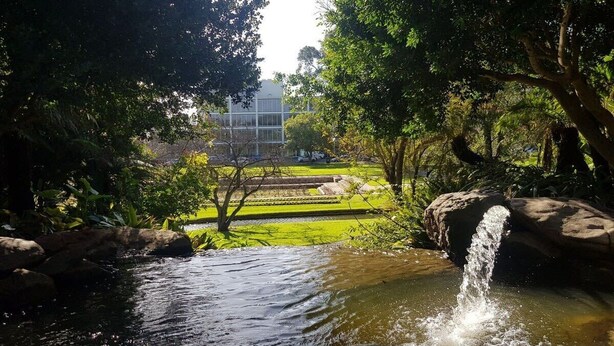 A serene garden with a small pond, a waterfall, and a building in the background. - Lego-Aerospace/Free Parking/CBD/Chinatown (Adelaide)
