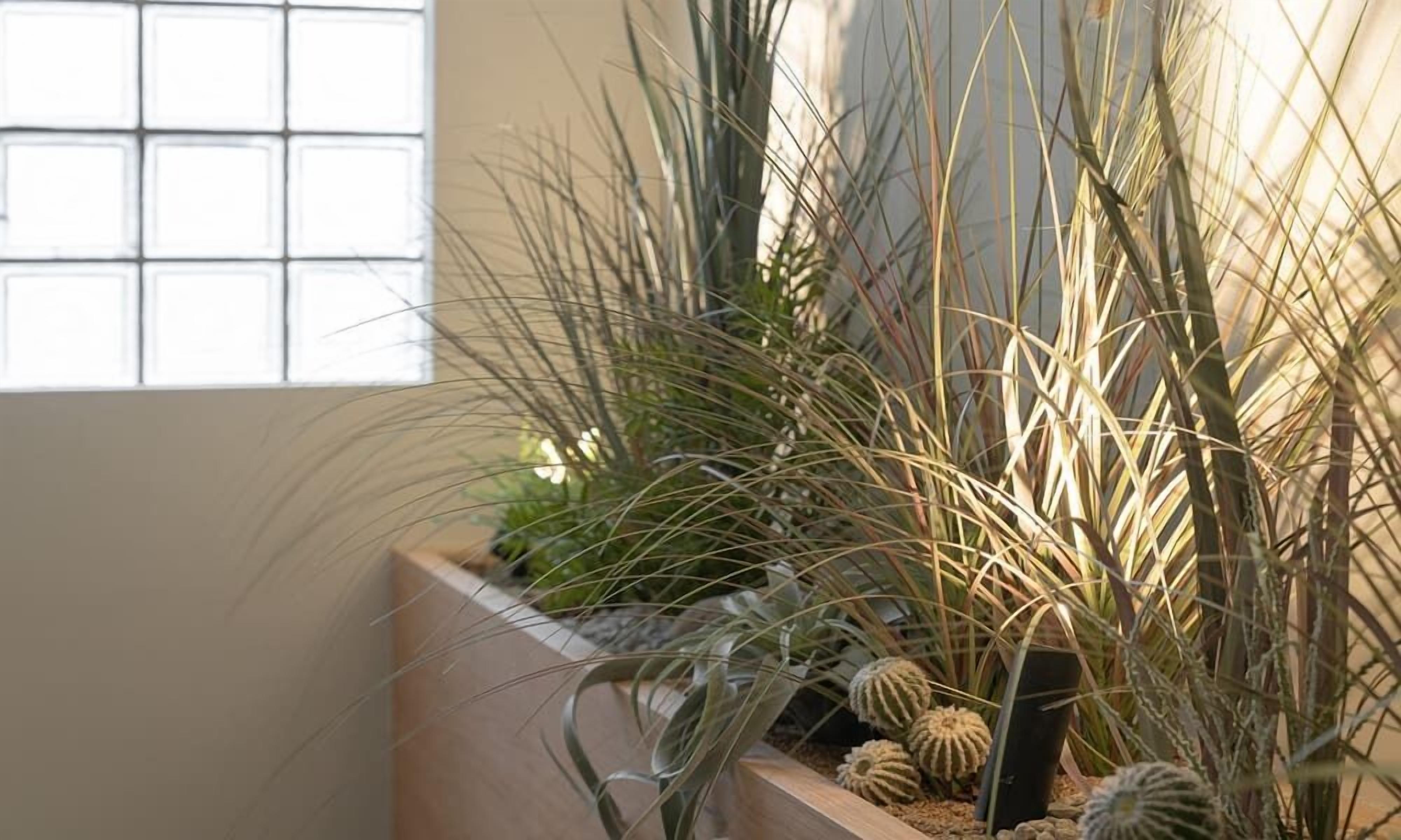 A corner of a room with a window, a wooden planter with various plants, and a cactus.