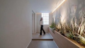 A modern hallway with a person walking, a window, and a planter with plants. - Siheung Brown Dot Jeongwang (Siheung)