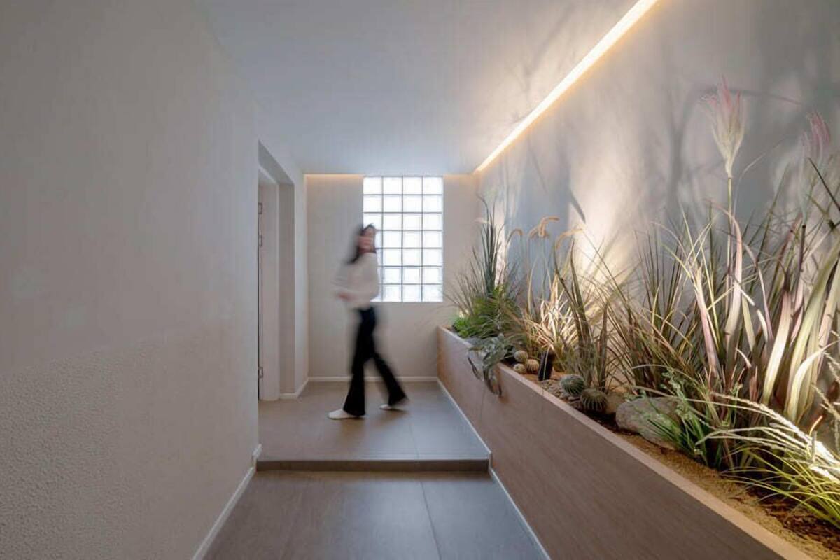Een moderne gang met een persoon die loopt, een raam en een plantenbak met planten.