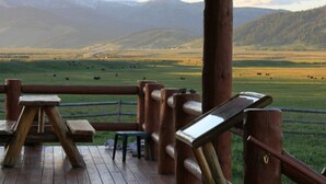 A wooden deck with benches overlooking a grassy field with cows, and mountains in the background.