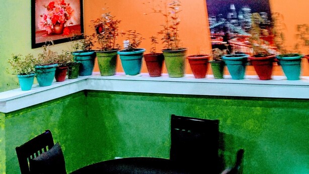 A room with a ceiling fan, a row of potted plants, and a framed picture on the wall. - Cozydelightful near UBS ARENA, JFK, LAGUARDIA AIRPORT.  (Queens)