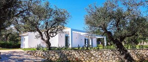 A modern white building with a stone wall in front, surrounded by olive trees. - Fence off , surrounded by large olive grove 200m from the sandy beach (Ζάκυνθος)