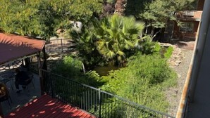 A patio area with a red deck, surrounded by dense greenery and a small water feature. - Big Chile Inn & Suites (Las Cruces)