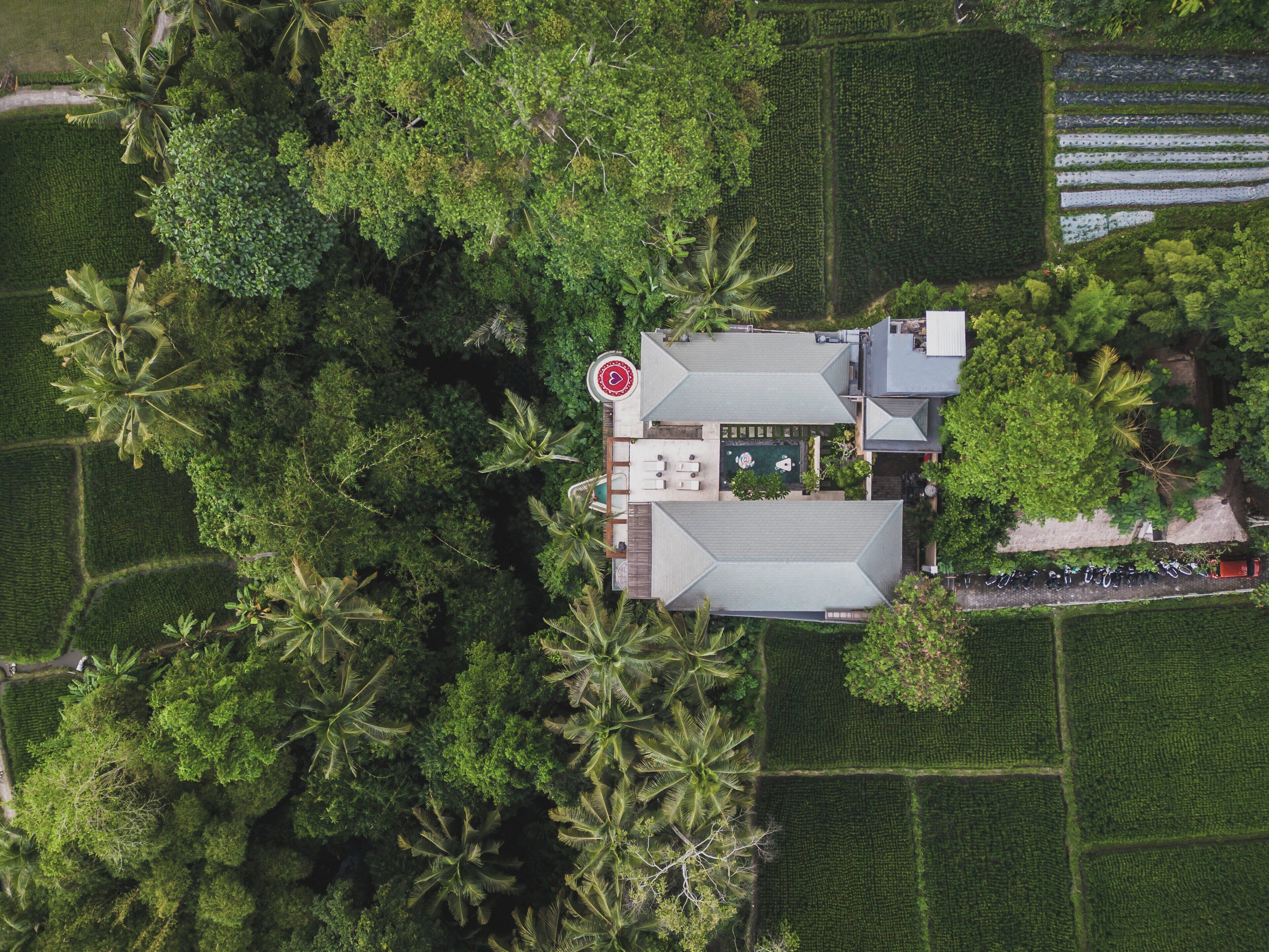 Photo - Suara Alam Ubud Villa by Ini Vie Hospitality