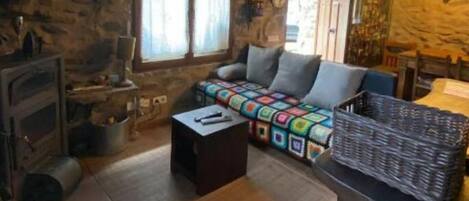 TV, fireplace, books, music library