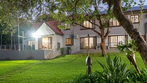 A modern house with a well-maintained lawn, a staircase leading to the entrance, and a large tree in the foreground. - Casa Albergo (Akasia)
