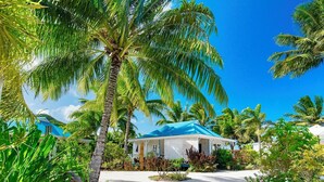 Un chemin menant à un bâtiment surmonté d’un toit bleu, entouré de palmiers et d’une végétation tropicale.