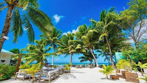 Une plage bordée de palmiers, avec des chaises longues et un ciel d’un bleu limpide.