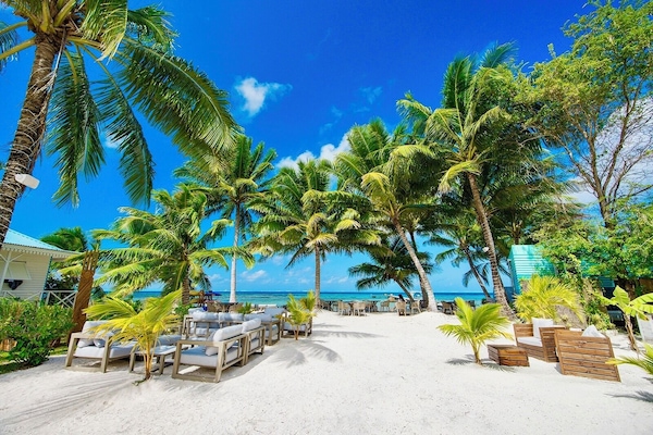Bar de plage