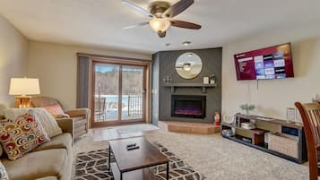 Smart TV, fireplace, books