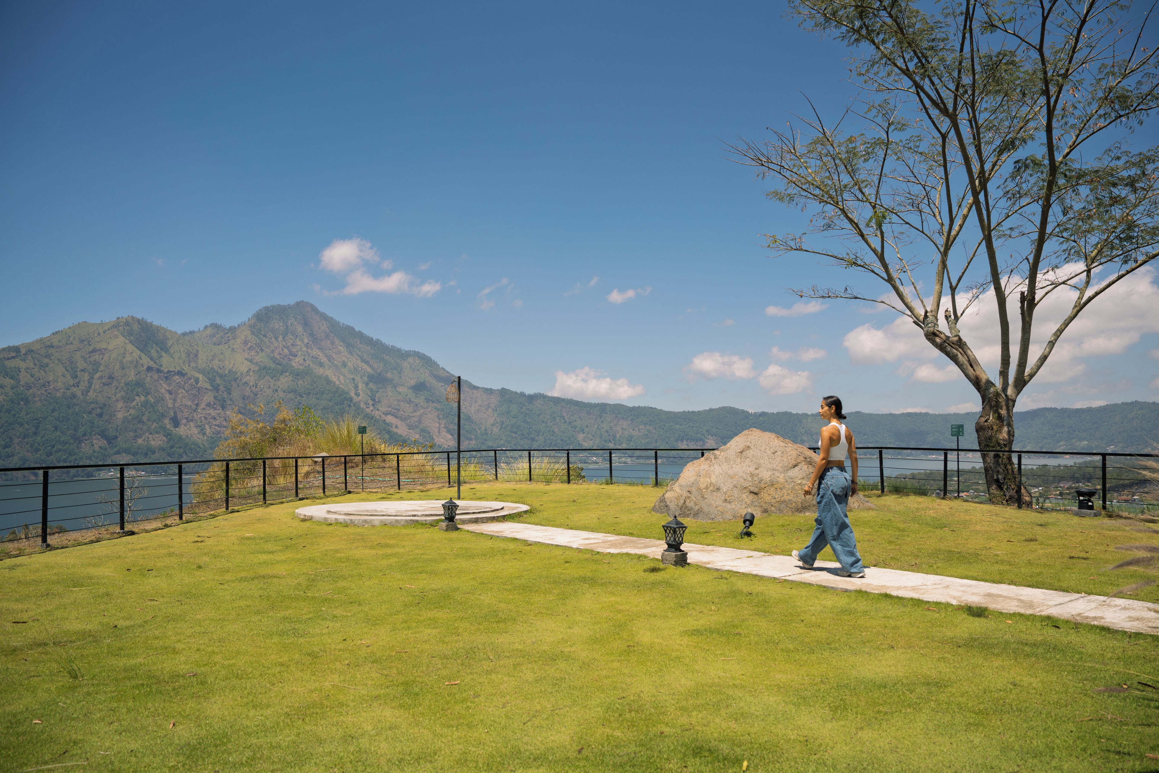 A grassy area with a walking path, a large rock, and a tree.
