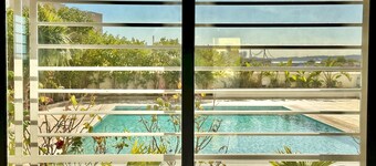 Gammarth Touristique Piscine Commune Bord de mer