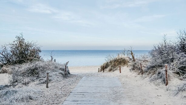 Un sendero de madera que conduce a una playa con vegetación escasa y un cielo despejado.