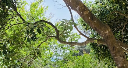 Charming typical Carloforte farmhouse with swimming pool