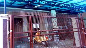 Uma área cercada por portão, com estrutura de telhado azul, cerca de metal e um veículo amarelo no interior.