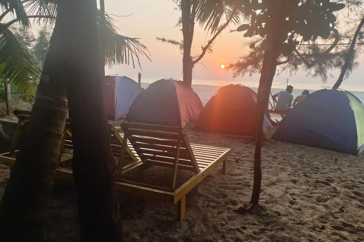Escena de playa con varias tiendas de campaña y una silla de madera.