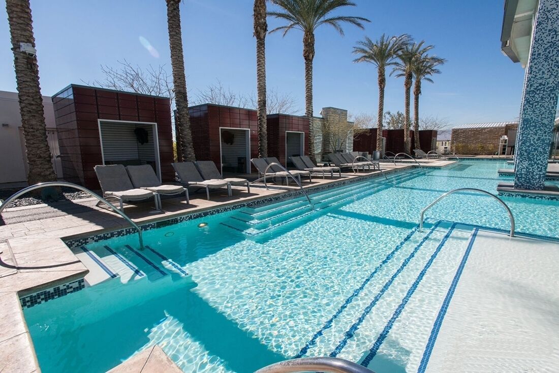 Une piscine avec des chaises longues et des palmiers.