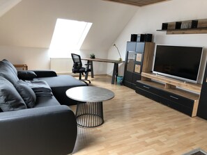 TV, books, music library, stereo - Well-equipped large vacation apartment for 4 people with lots of comfort  (Gersheim)