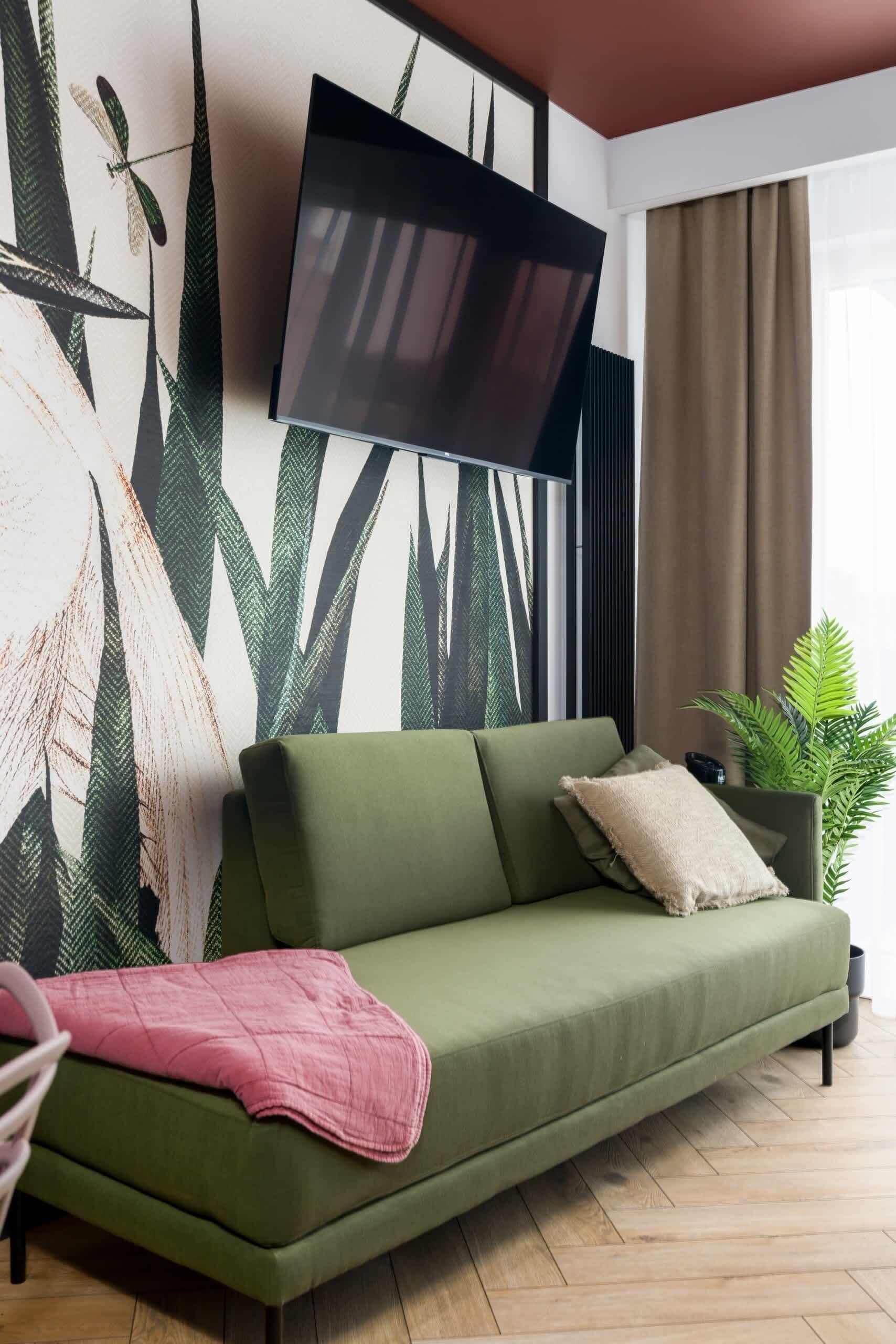Ein grünes Sofa mit einer rosa Decke, ein Flachbildfernseher an der Wand und eine große Pflanze in einer Ecke.