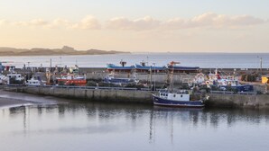 A harbor with boats docked at a pier, a calm sea, and a distant shoreline. - Coastal Nest (Seahouses)