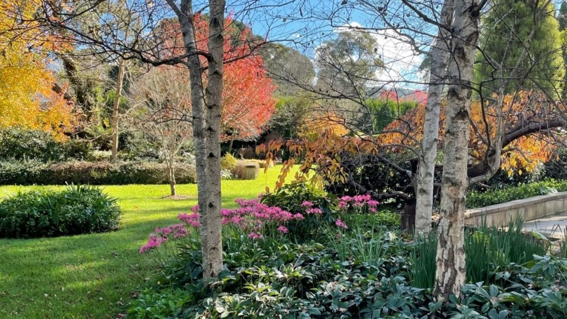 A garden with trees, grass, and flowers.