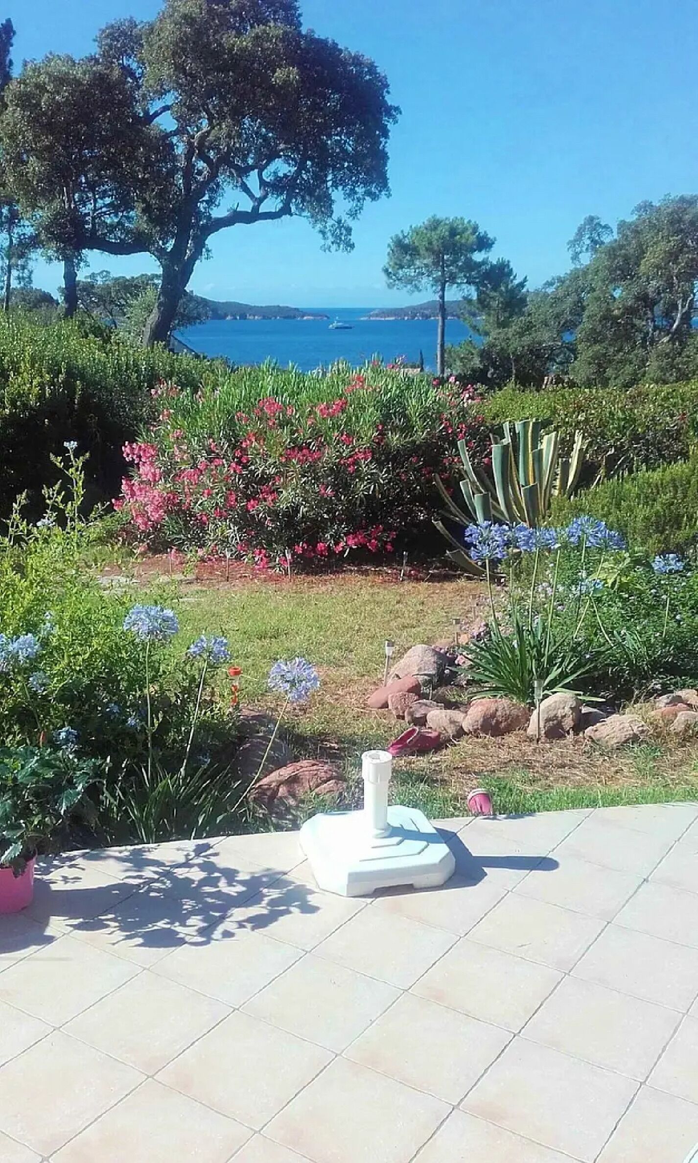 A garden with various plants and a white object on the ground.