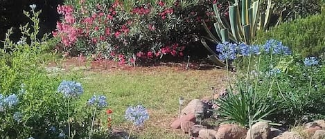 Un jardin avec différentes plantes et un objet blanc posé sur le sol.