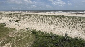 A sandy beach with sparse vegetation and a clear sky.