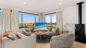 TV, fireplace, DVD player, books