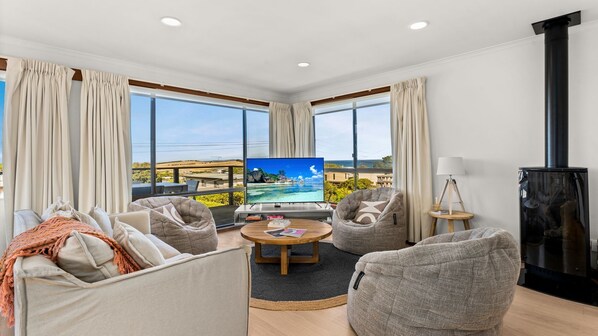 TV, fireplace, DVD player, books