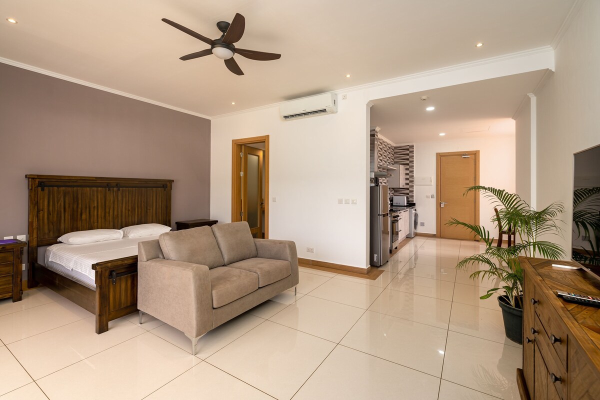 Un dormitorio con cama, sofá, ventilador de techo y una kitchenette al fondo.