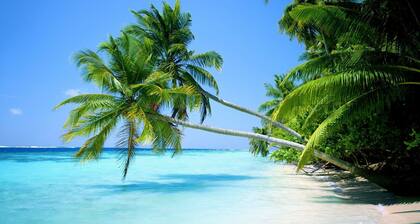 Royale Suites by Arc Royale Luxury Apts