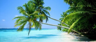 Royale Suites by Arc Royale Luxury Apts