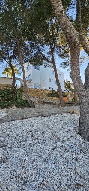 Área da propriedade