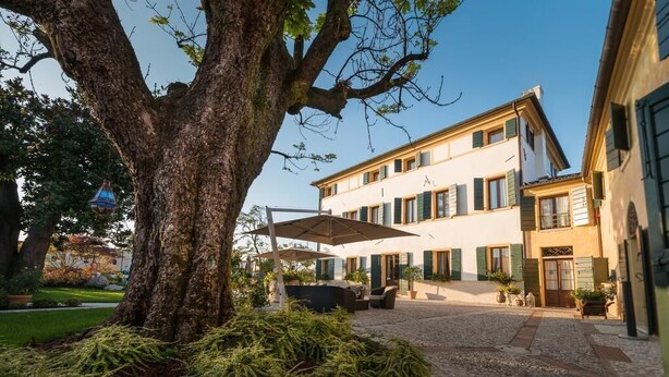 Un bâtiment doté d’une cour intérieure, d’un espace extérieur aménagé pour s’asseoir et d’un grand arbre.