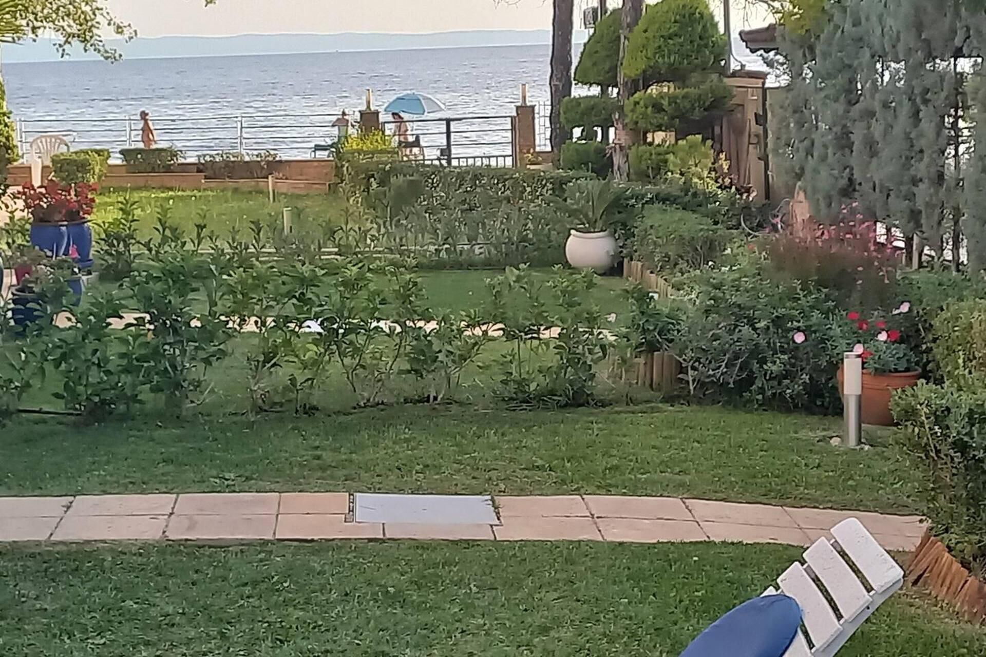 House | Property grounds