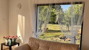 Standard Villa | Living area | 81-cm flat-screen TV with cable channels, TV, fireplace - Pensiunea RNB Maramures (Sisesti)