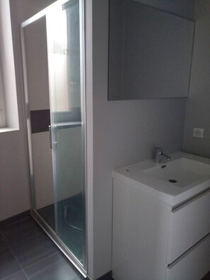 Shower, hair dryer, toilet paper