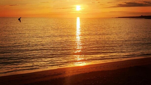 Cabin, 1 King Bed with Sofa bed | Beach - Atlantic Coast Lodge - In the Heart of all Clare (Quilty)