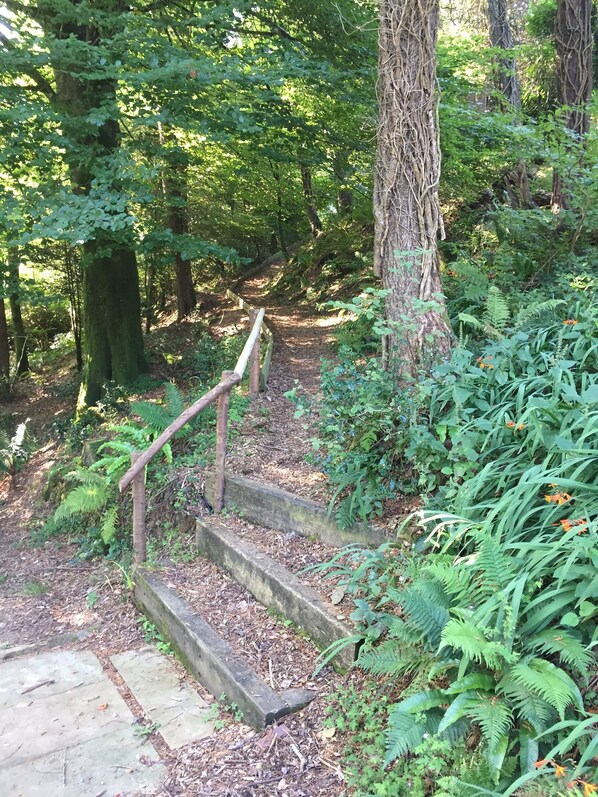 Eine Holztreppe führt durch einen bewaldeten Pfad nach oben.