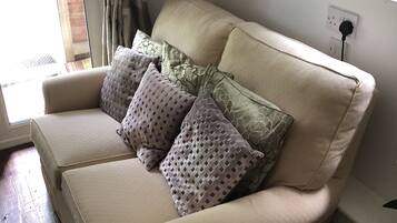 TV, fireplace, books