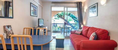 テレビ、卓球台