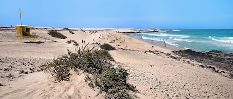 Playa en los alrededores