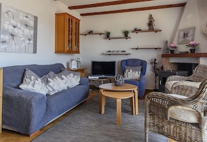 Fireplace, DVD player, ping pong