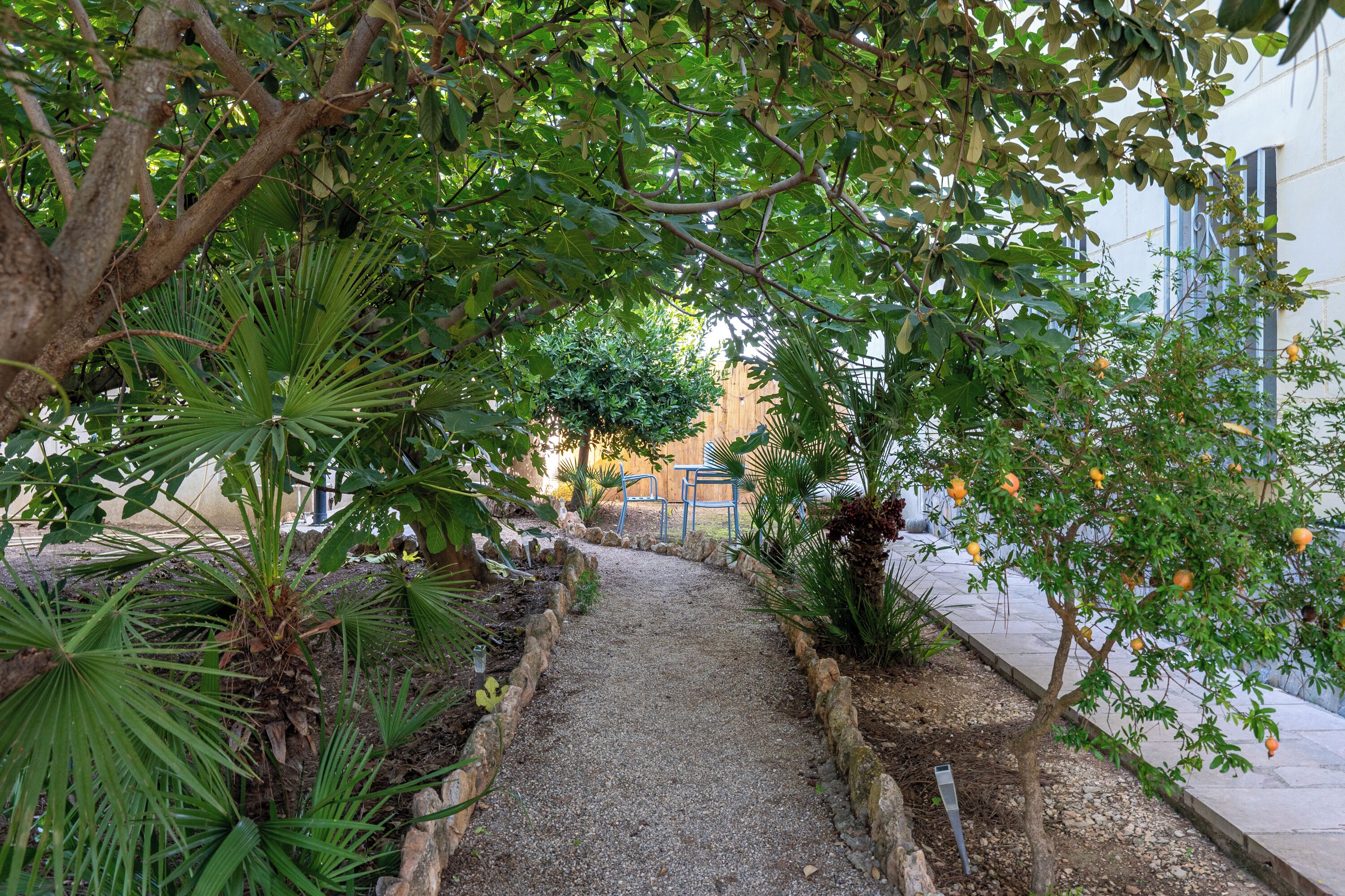 Terrein van de accommodatie