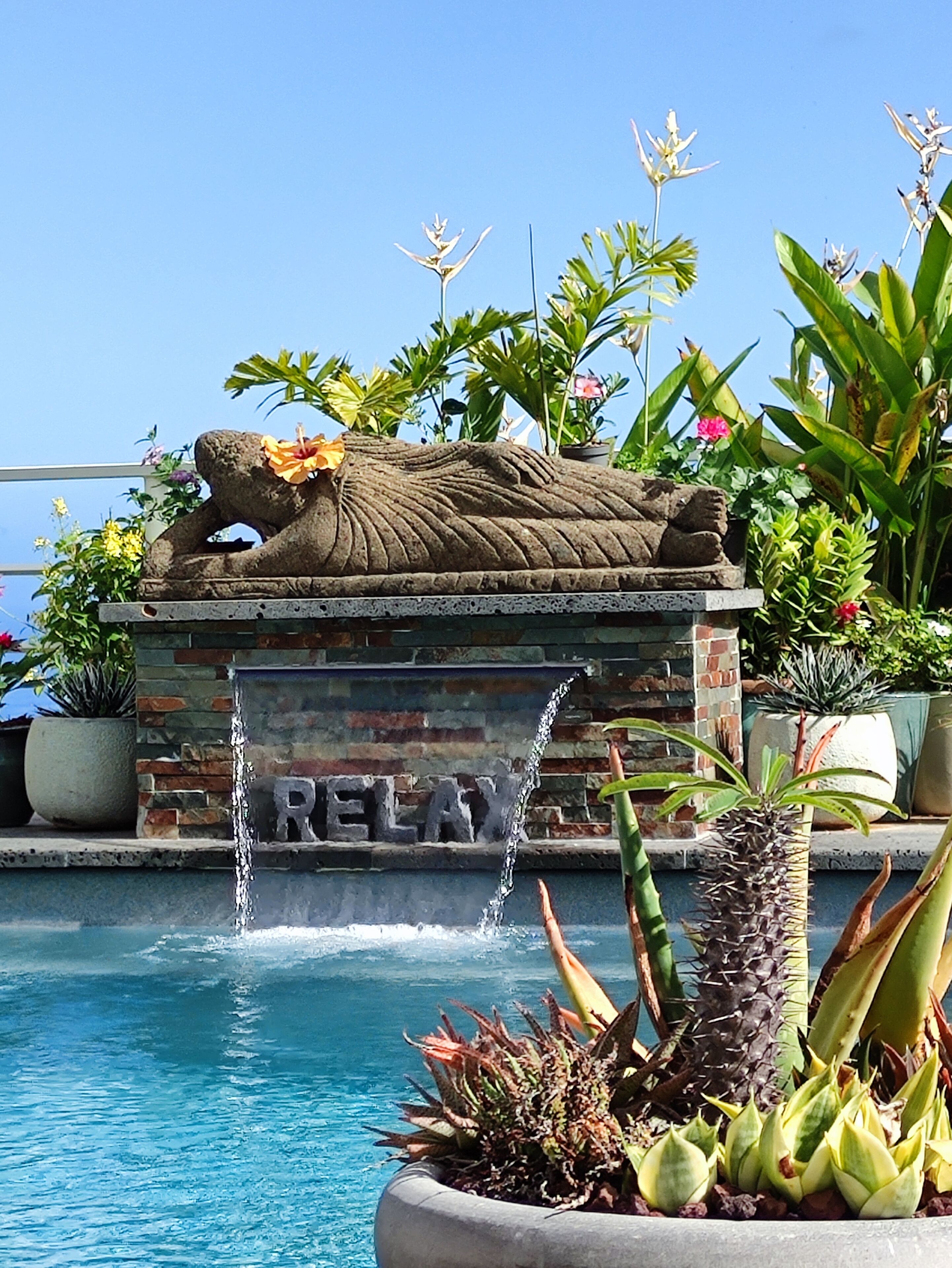 Outdoor pool, open 8:00 AM to 11:00 PM, pool loungers